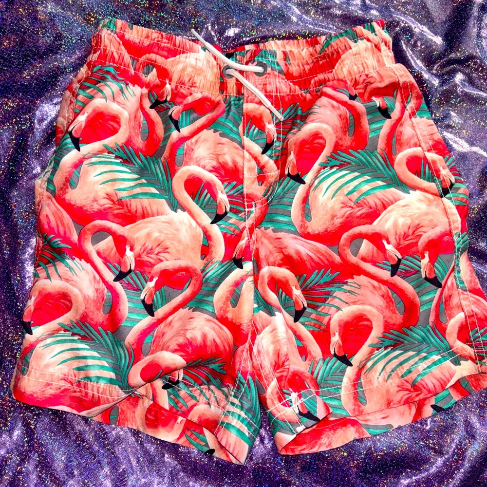 Old Navy Flamingo swim Trunks